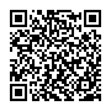 QR code for NM3384