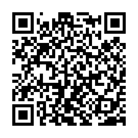 QR code for NM3419