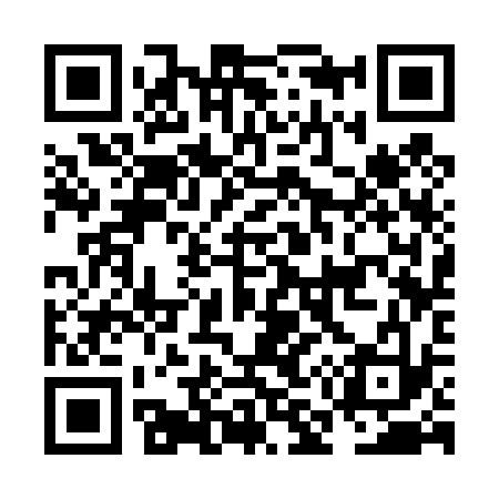 QR code for NM3433