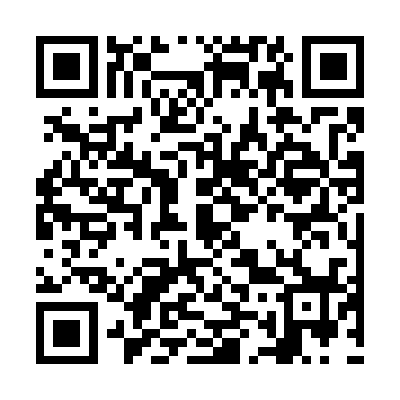 QR code for NM3738