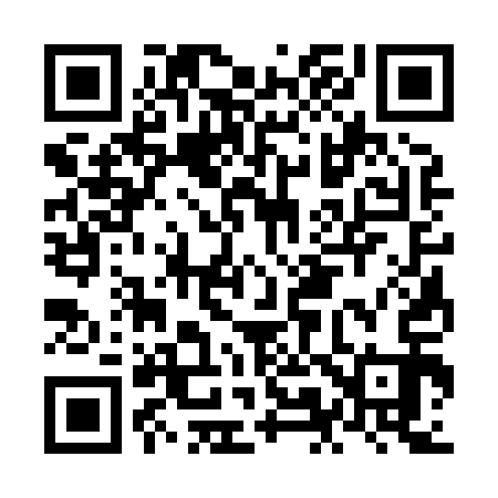 QR code for NM3813