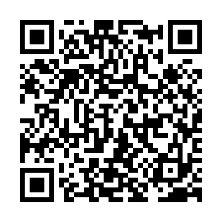 QR code for NM3833