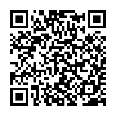 QR code for NM3895
