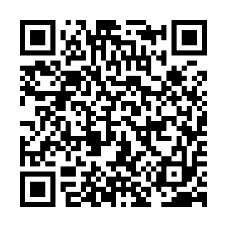 QR code for NM3913