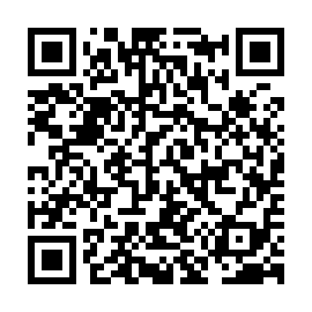 QR code for NM3919