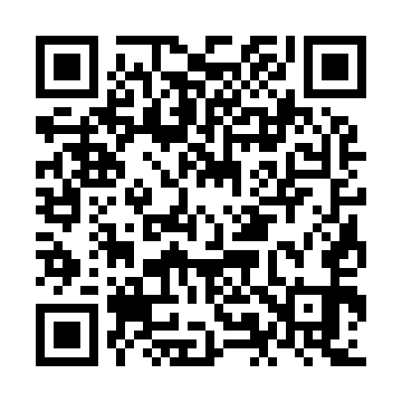 QR code for NM3951