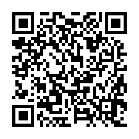 QR code for NM3994