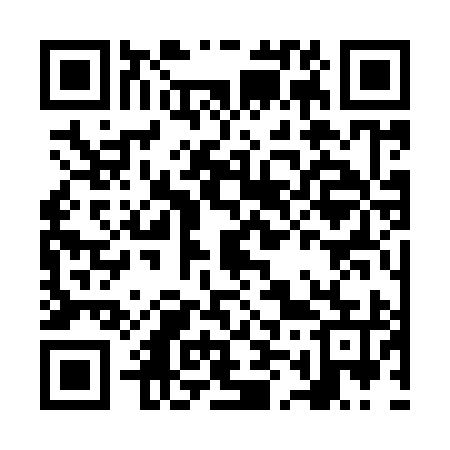 QR code for NM3995