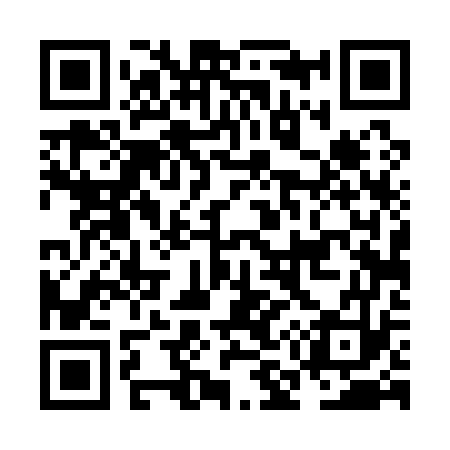 QR code for NM4173