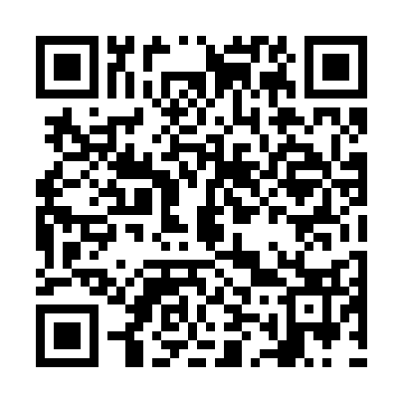 QR code for NM4233