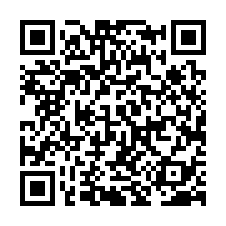 QR code for NM4339