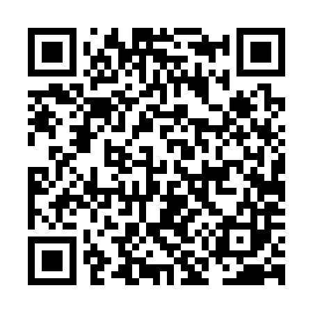 QR code for NM4383