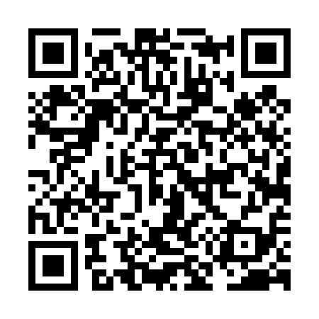 QR code for NM4419
