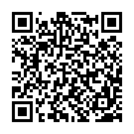 QR code for NM4596