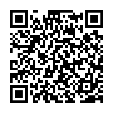 QR code for NM4733