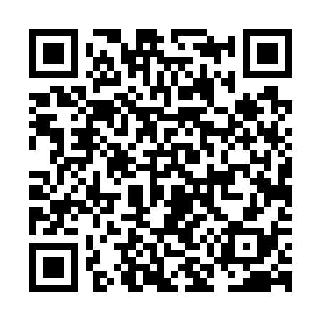 QR code for NM4738