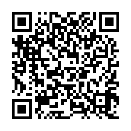 QR code for NM4919