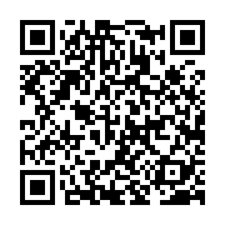 QR code for NM4929