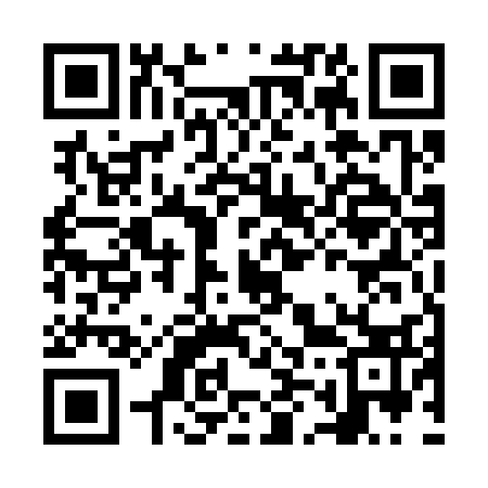 QR code for NM5333