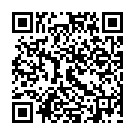 QR code for NM5384