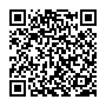 QR code for NM6029