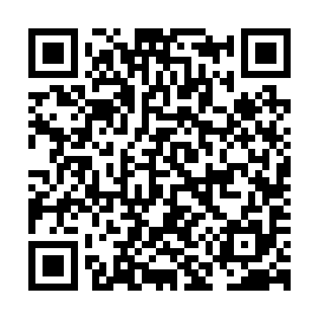 QR code for NM6295
