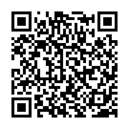 QR code for NM6311