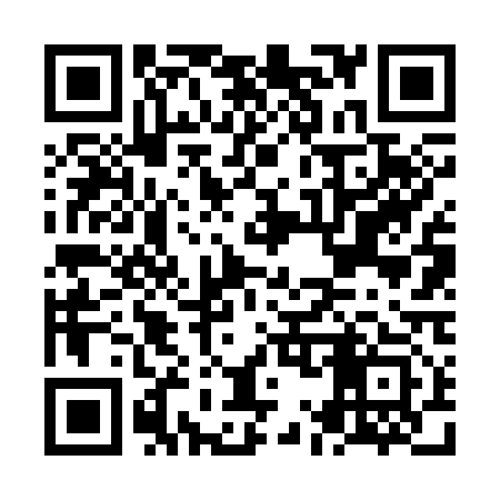 QR code for NM6313
