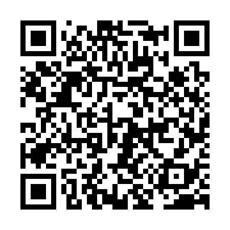 QR code for NM6338