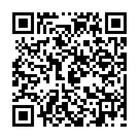 QR code for NM6383