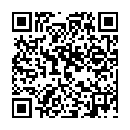 QR code for NM6386