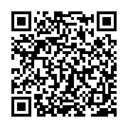 QR code for NM6393