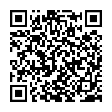 QR code for NM6513
