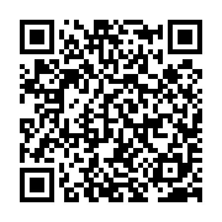 QR code for NM6595