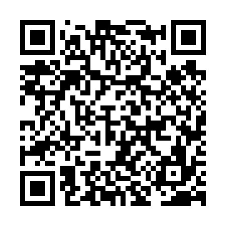 QR code for NM6636