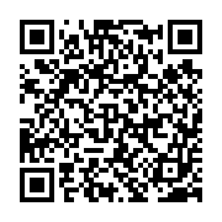QR code for NM6653