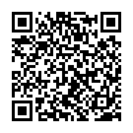 QR code for NM6733