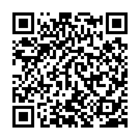 QR code for NM6738