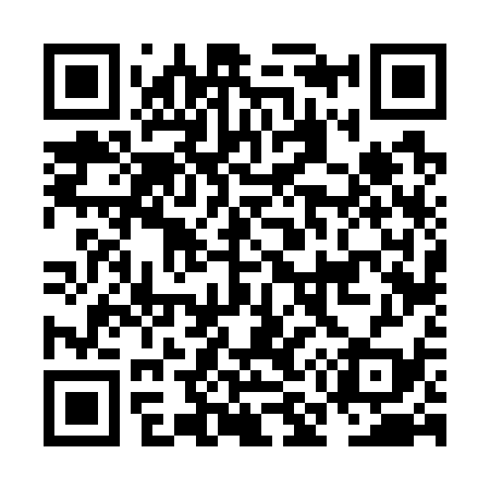 QR code for NM6739