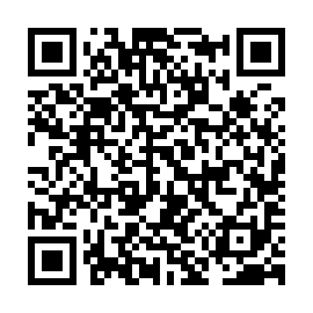 QR code for NM6991