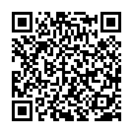 QR code for NM8079