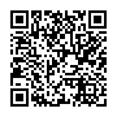 QR code for NM8333