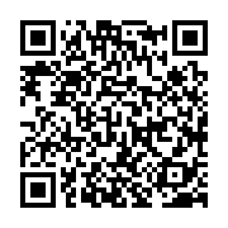 QR code for NM8338