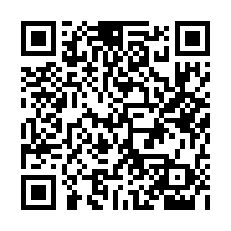 QR code for NM8738