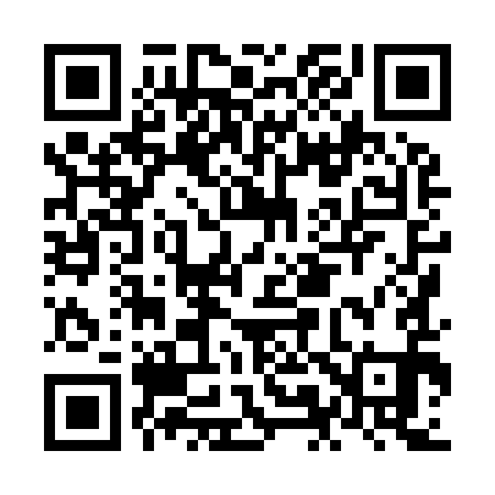 QR code for NM8991