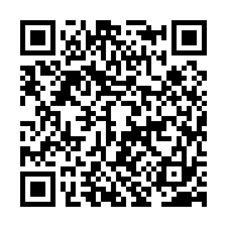 QR code for NM9133