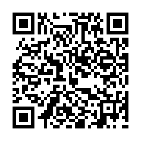 QR code for NM9335