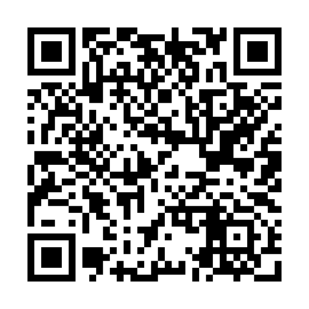 QR code for NM9393