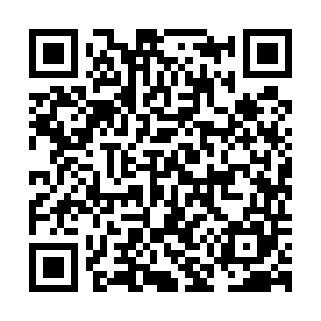 QR code for NM9545