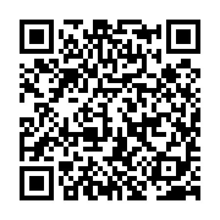 QR code for NM9599